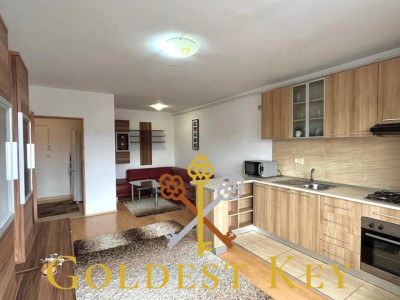 Apartament de vânzare cu 2 camere, balcon și parcare! Baciu, Petrom